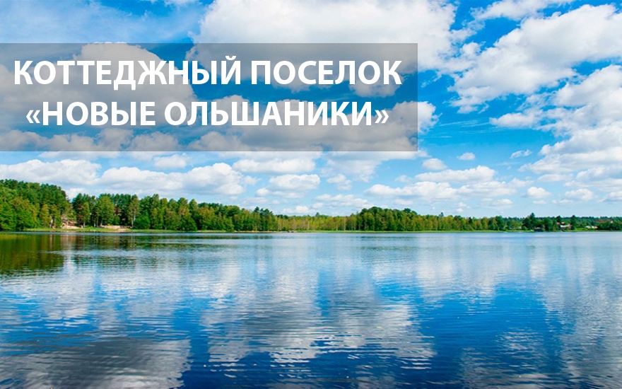 Расположен на северном берегу озера Чернявское, рядом с поселком Ольшаники Выборгского района Ленинградской области
